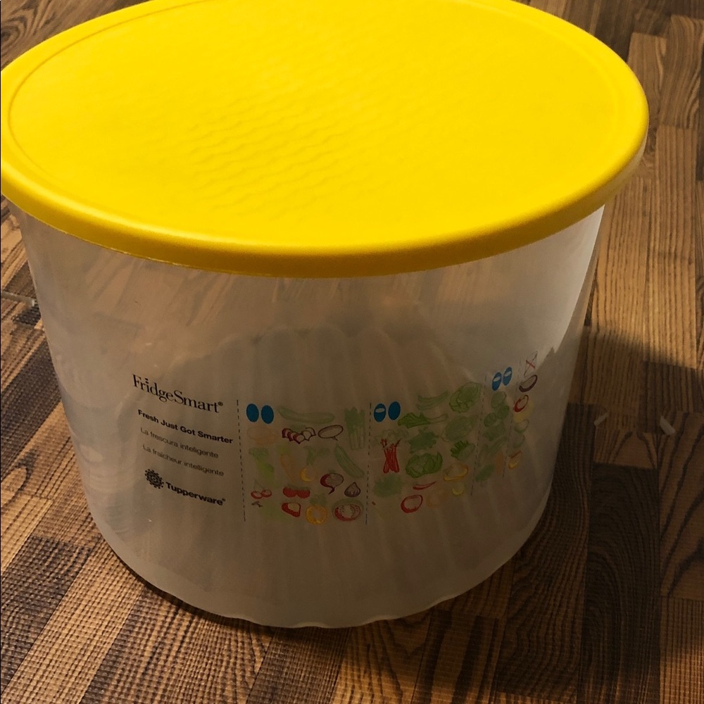 Tupperware Fridgesmart 20 Cup Clear Storage Container